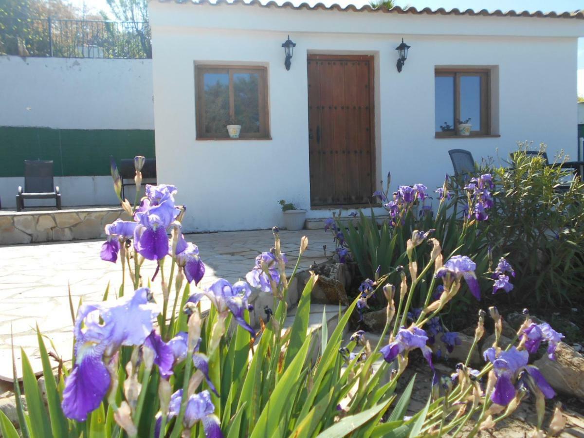 La Casita, Zagra Villa La Carrera de la Vina Exterior photo